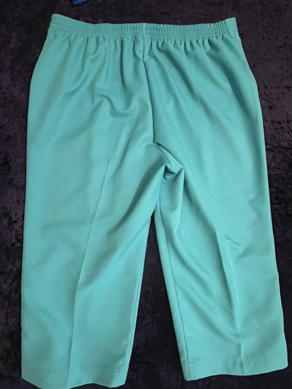 Alfred Dunner 2 Pc Outfit Size L Top 16 Capri Short Pants Summer Set Green Blue
